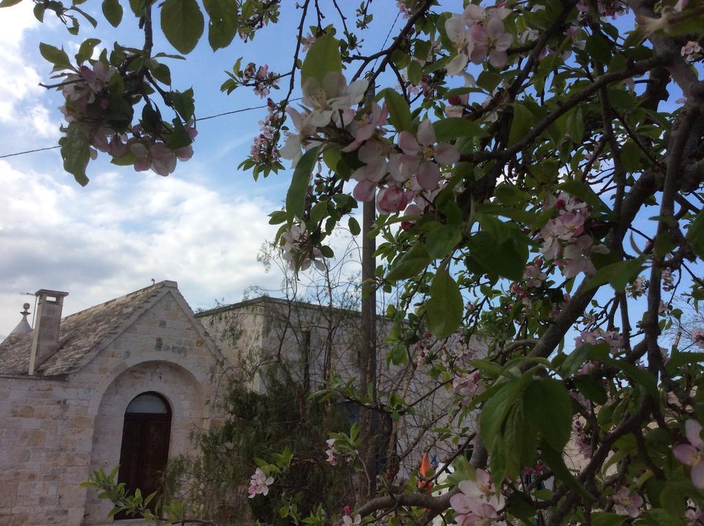 Borgo Miceli Da Giovanni Locorotondo Eksteriør bilde